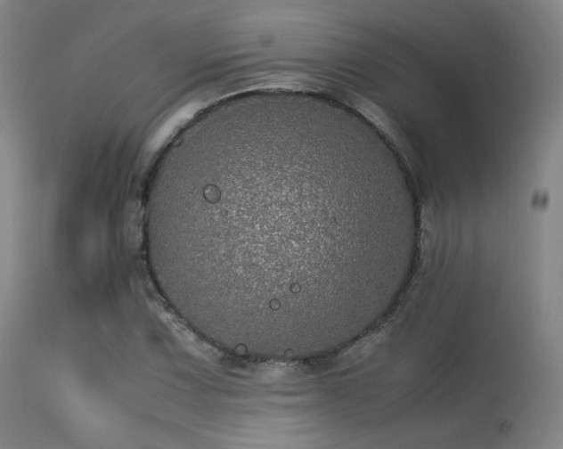 X0000113241067200909171557