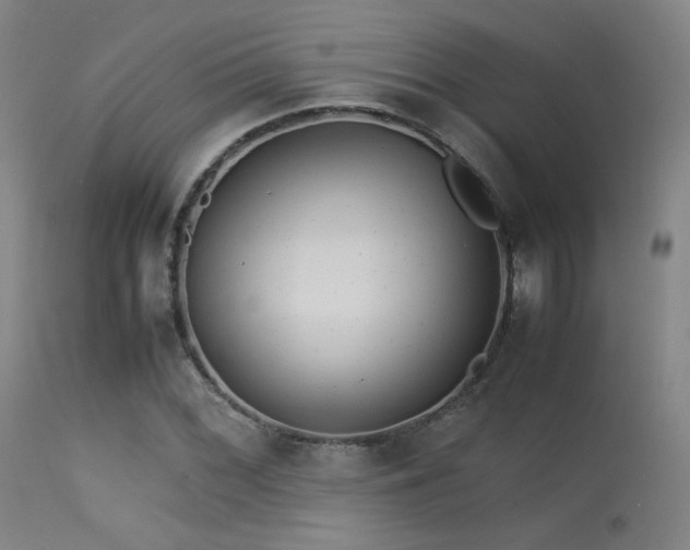 X0000113241068200909171557