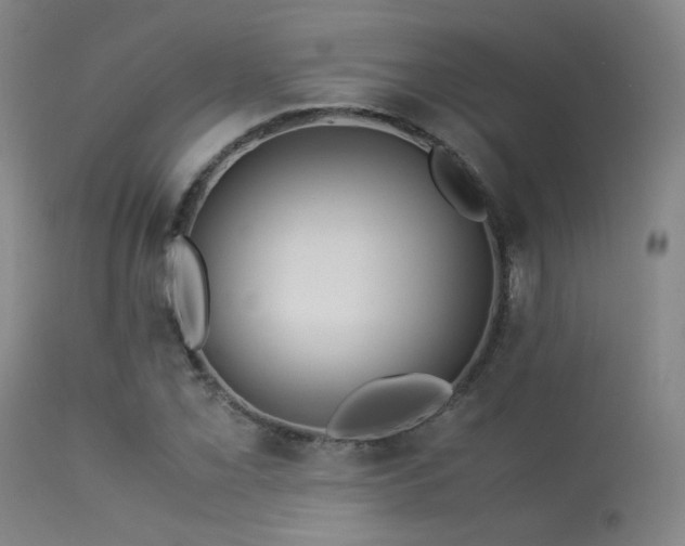 X0000113241069200909171557