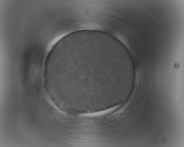 X0000113241071200909171557