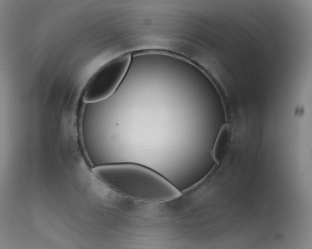 X0000113241072200909171557