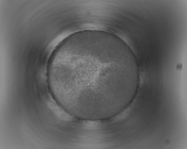 X0000113241074200909171557