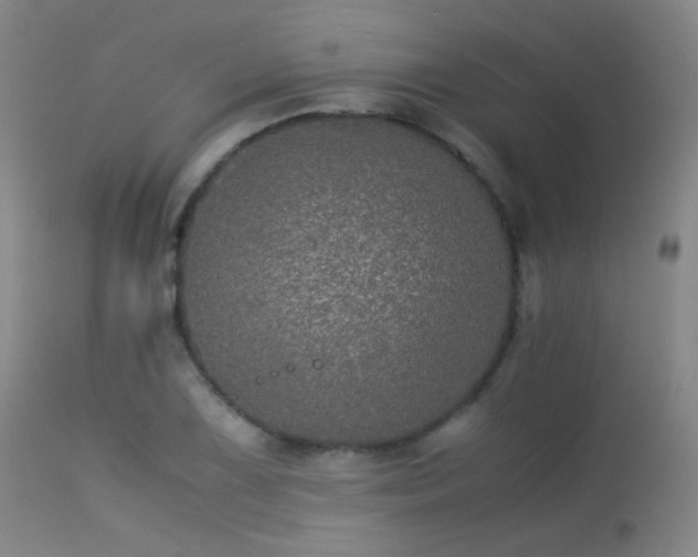 X0000113241075200909171557