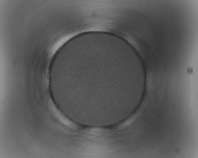 X0000113241077200909171557