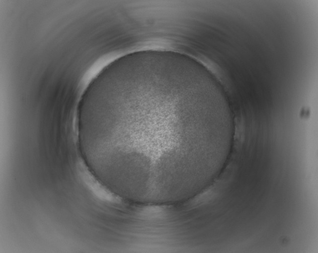 X0000113241078200909171557