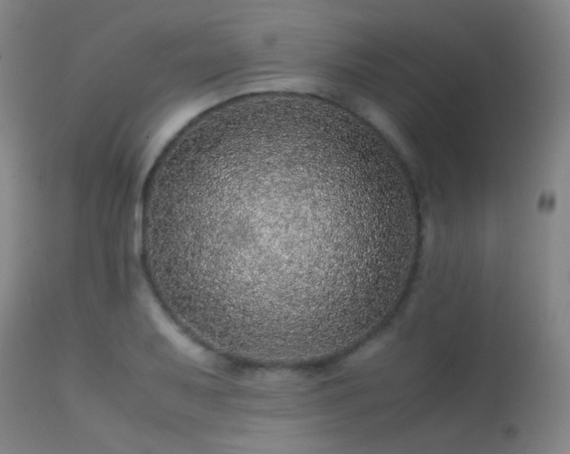 X0000113241079200909171557