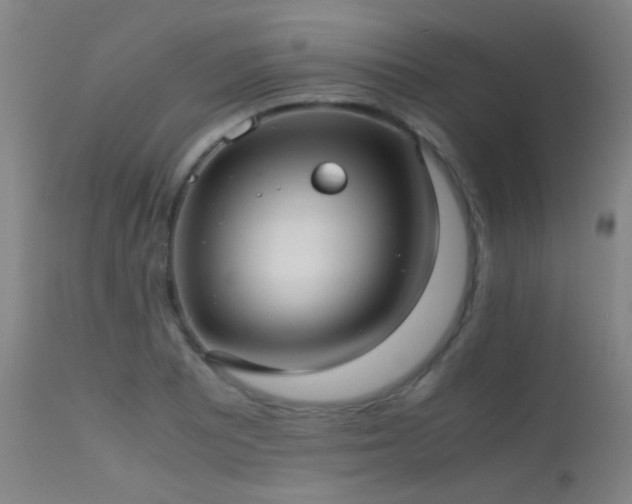 X0000113241081200909171557