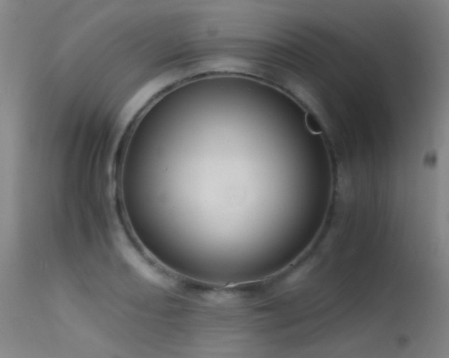 X0000113241082200909171557