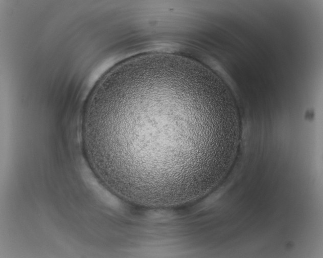 X0000113241083200909171557