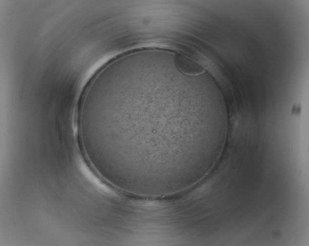 X0000113241084200909171557