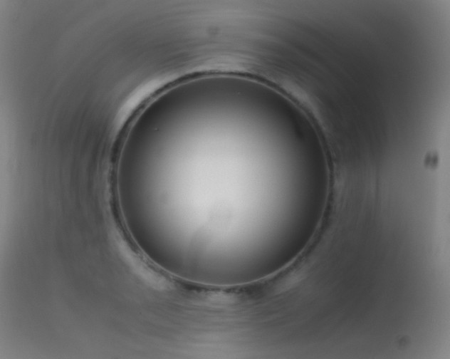 X0000113241085200909171557