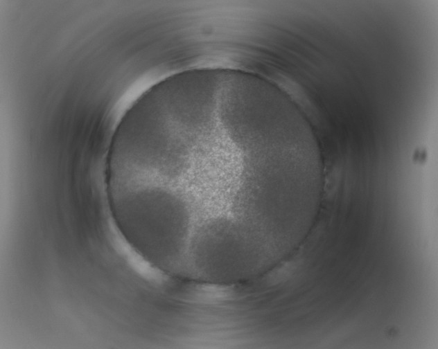 X0000113241086200909171557