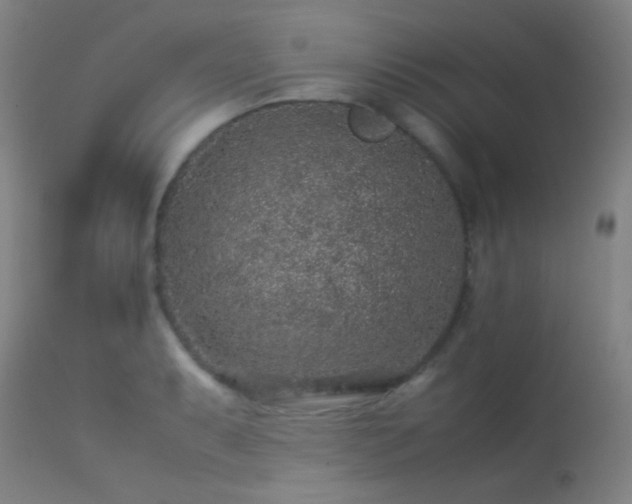 X0000113241087200909171557