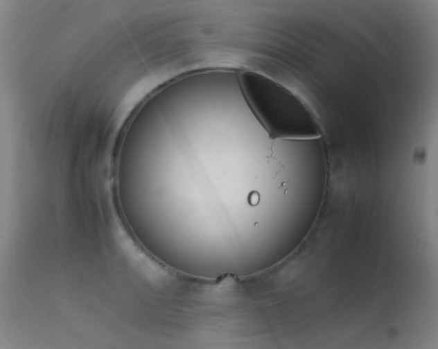 X0000113241088200909171557