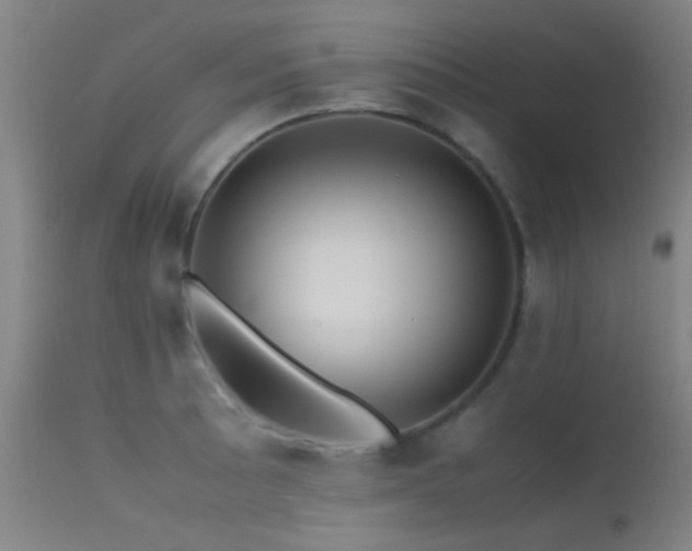 X0000113241089200909171557