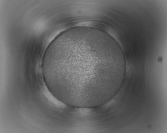 X0000113241090200909171557