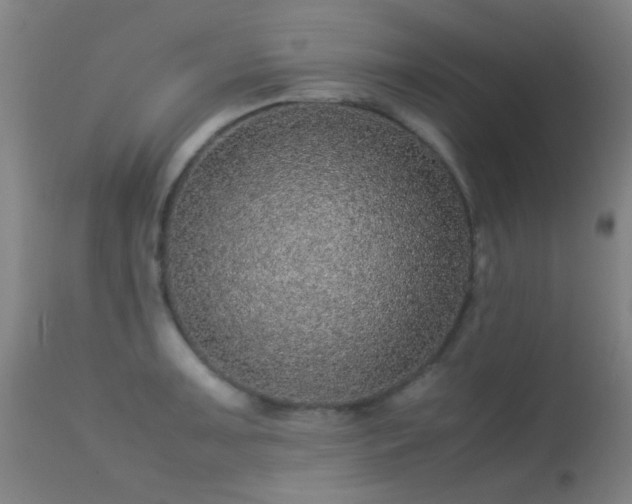 X0000113241091200909171557