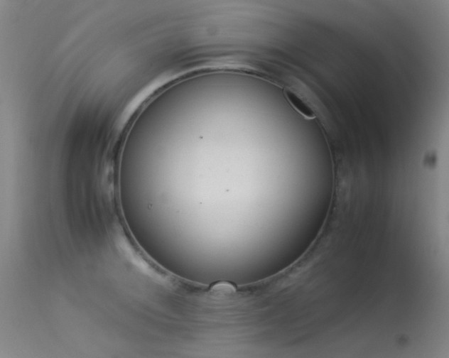 X0000113241092200909171556