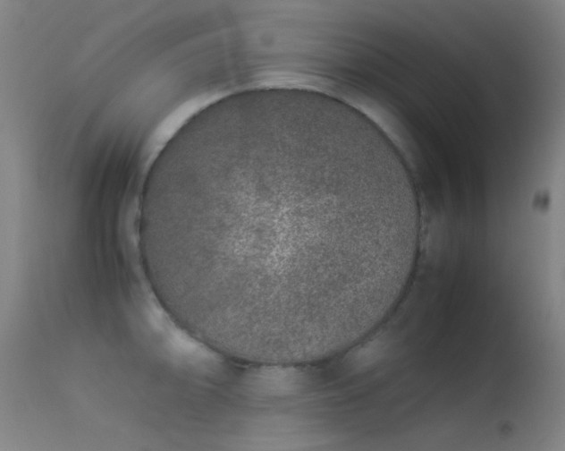 X0000113241094200909171556