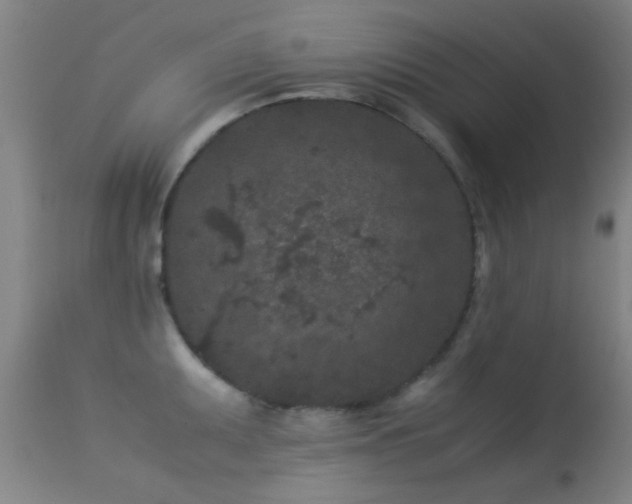 X0000113241095200909171556