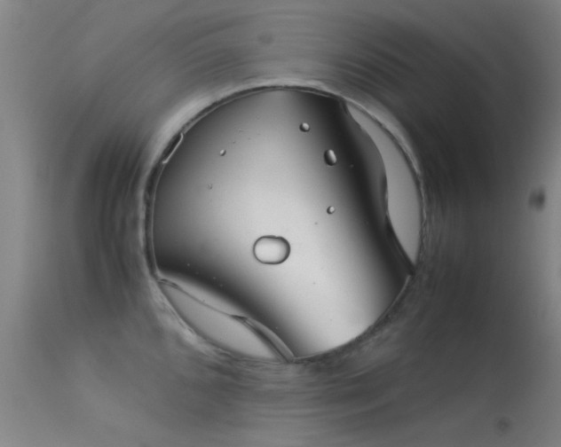 X0000113241096200909171556