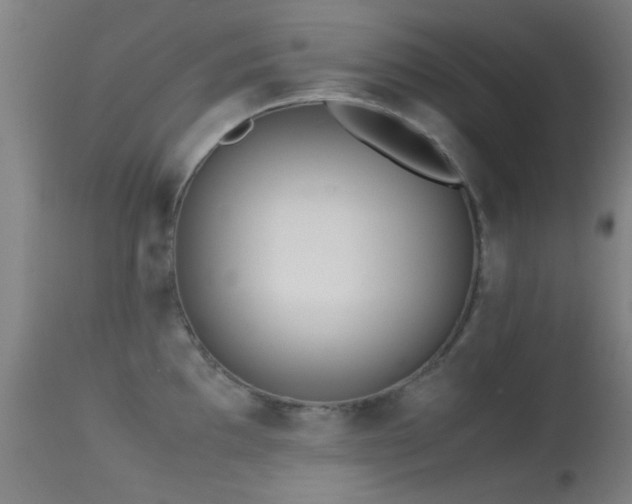 X0000113241097200909171556