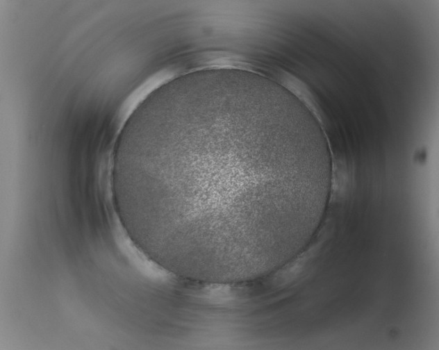 X0000113241098200909171556