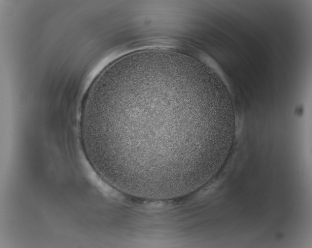 X0000113241099200909171556