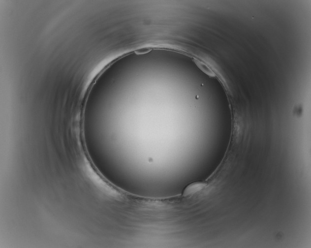 X0000113241100200909171556