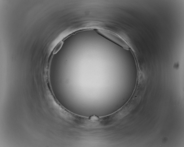 X0000113241101200909171556