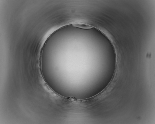 X0000113241104200909171556