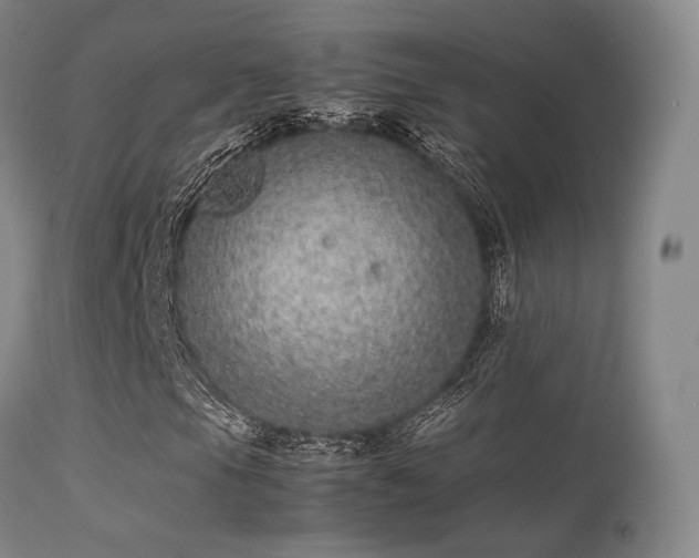 X0000113241105200909171556