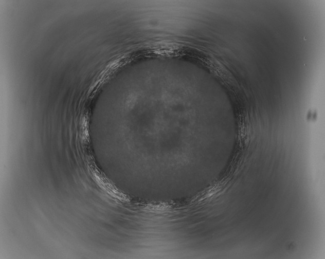 X0000113241106200909171556