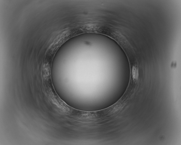 X0000113241107200909171556