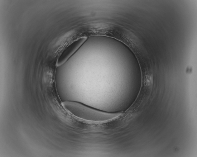 X0000113241108200909171556