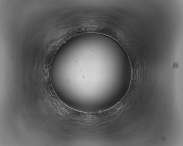 X0000113241109200909171556