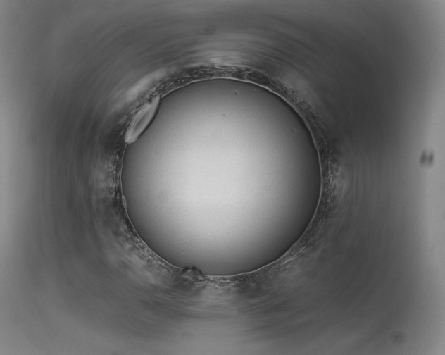 X0000113241110200909171556