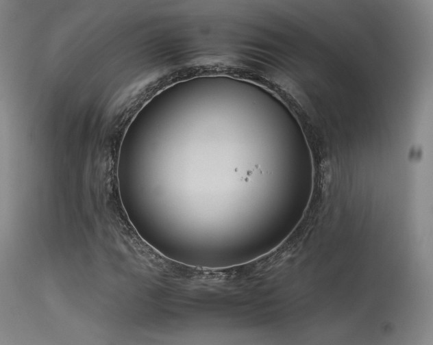 X0000113241111200909171556