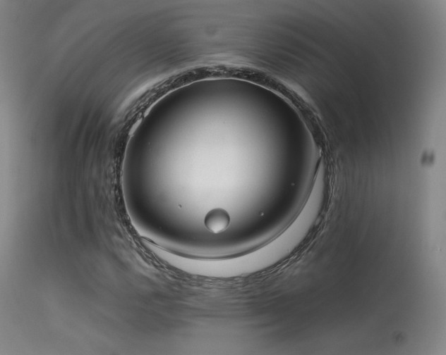 X0000113241112200909171556