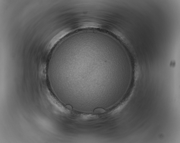 X0000113241113200909171556