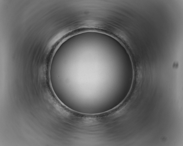 X0000113241114200909171556