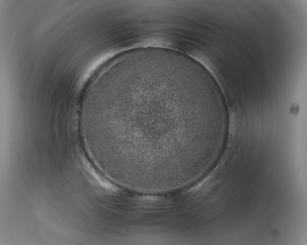 X0000113241115200909171556