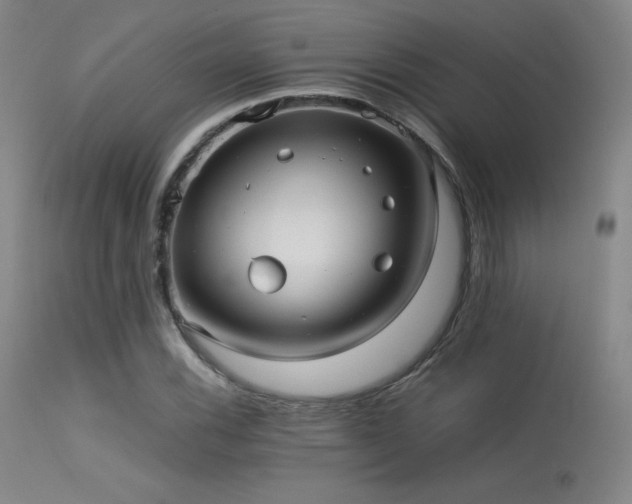 X0000113241116200909171556