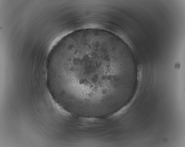 X0000113241117200909171556