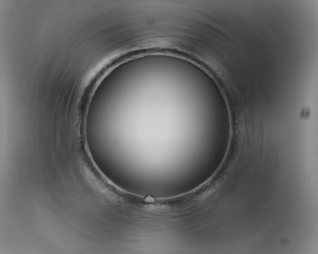 X0000113241118200909171556