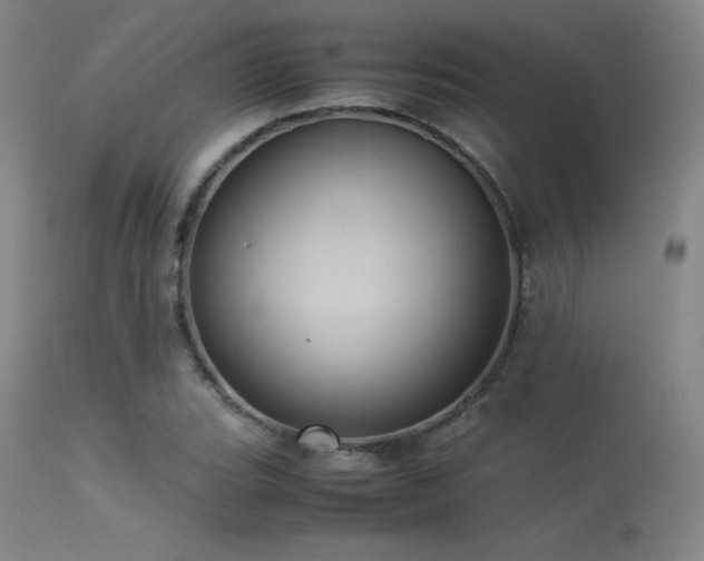 X0000113241119200909171556