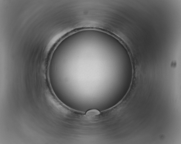 X0000113241120200909171556