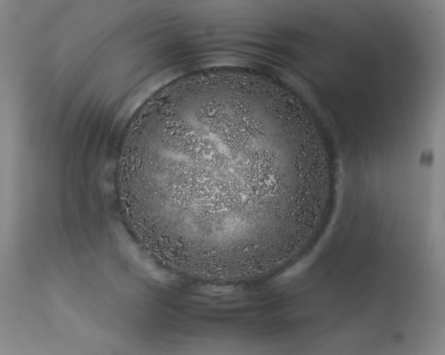 X0000113241121200909171556