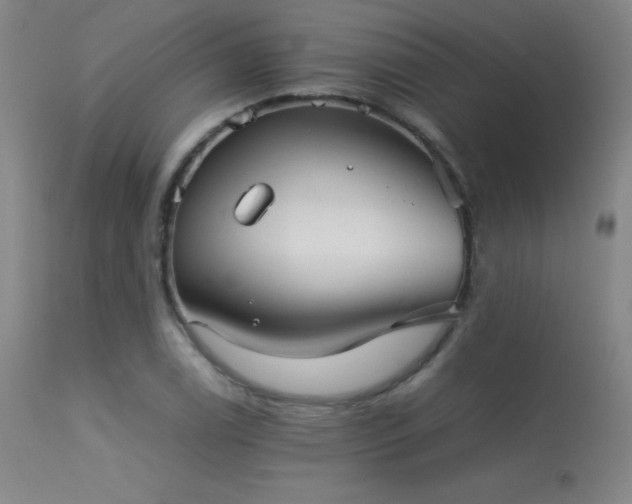 X0000113241122200909171556