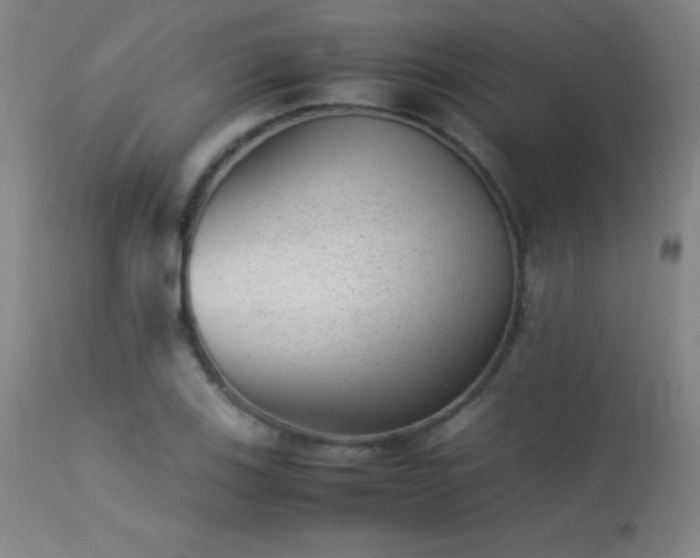 X0000113241123200909171556